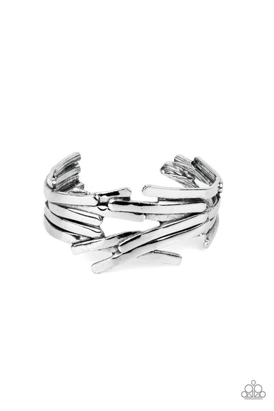 Stockpiled Style - Silver